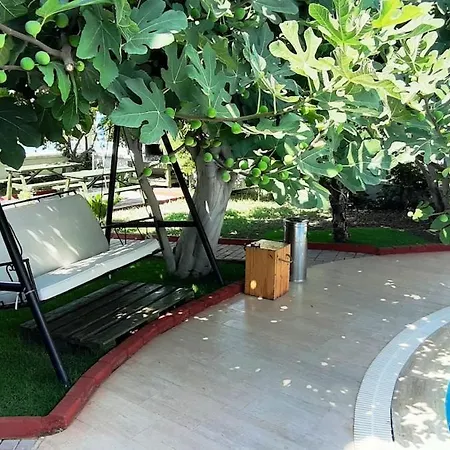 Lycian 3 2 Living - Great Location Lägenhet Fethiye